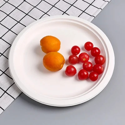 Our New Product - Bagasse Plates